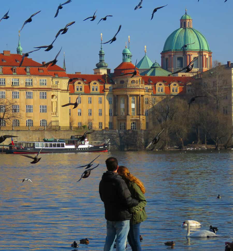 Swan point in Prague