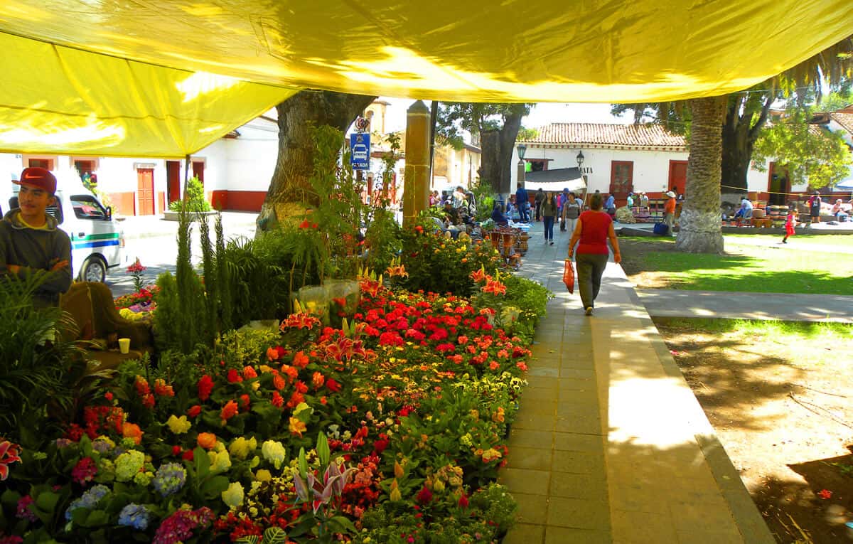 flower market in Patzcuaro