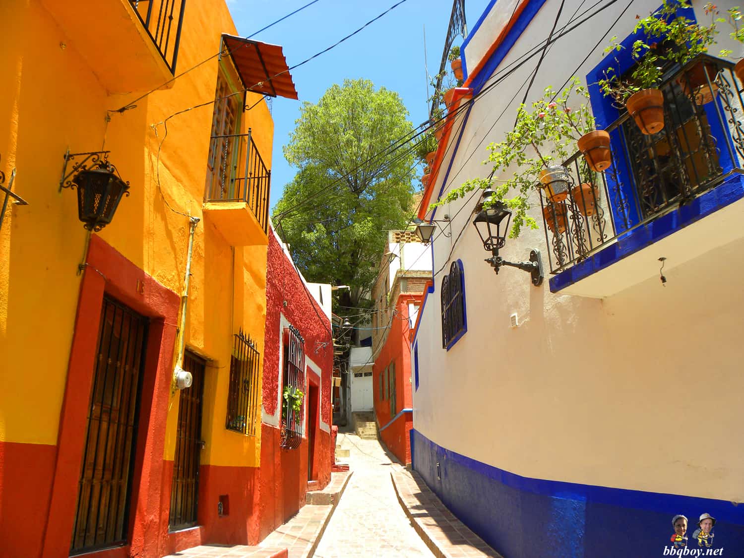 colores locas-Guanajuato-mexico