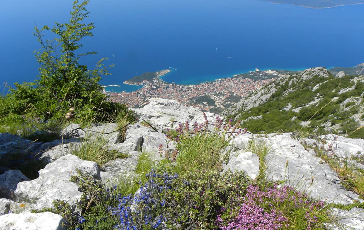 views on Makarska