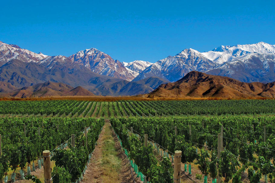 mendoza-wikitravel. Avoiding Europe in the summer…and other places to go instead