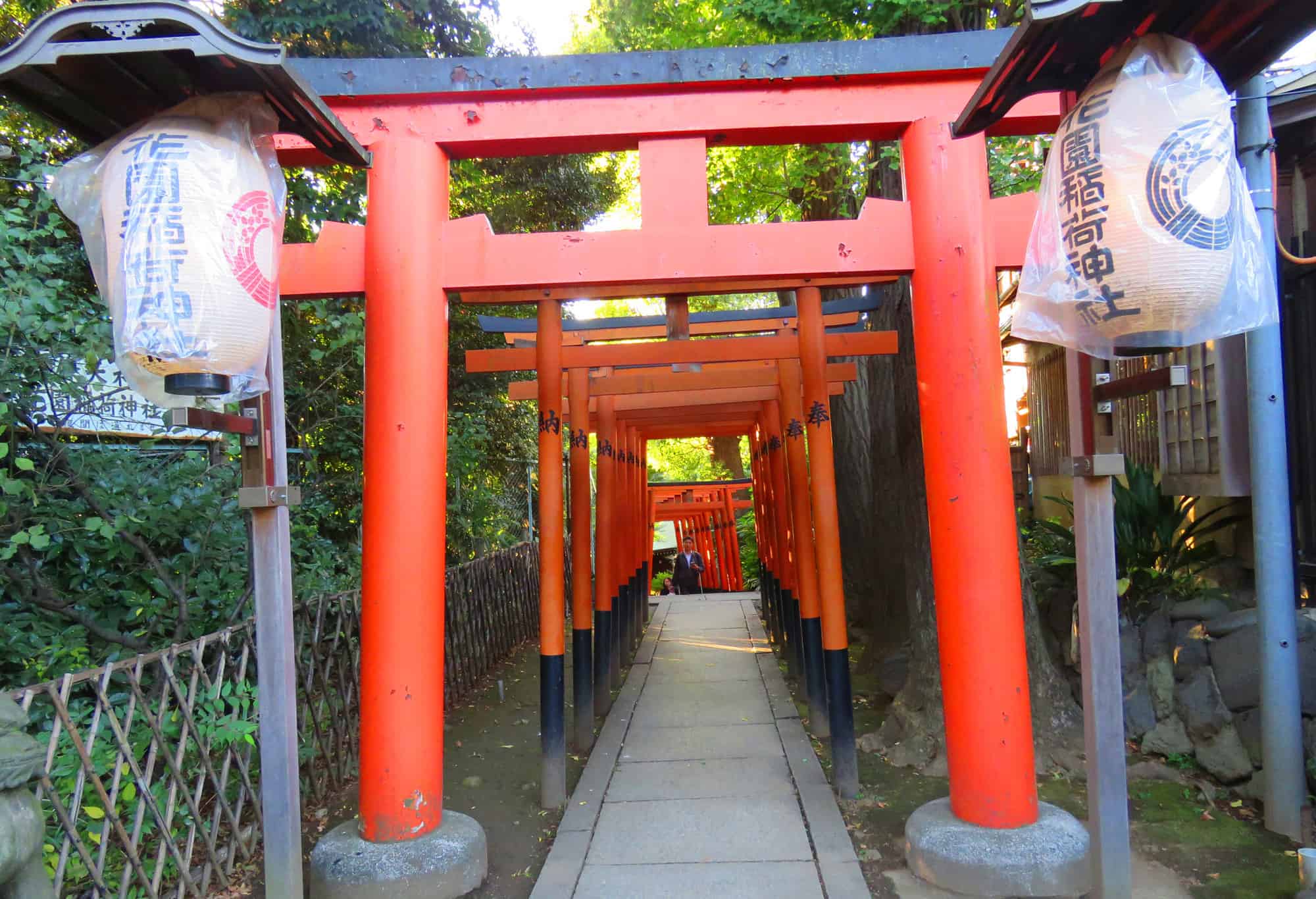 Hanazono Inari shrine. Asakusa and Ueno – why everyone should visit Northern Tokyo