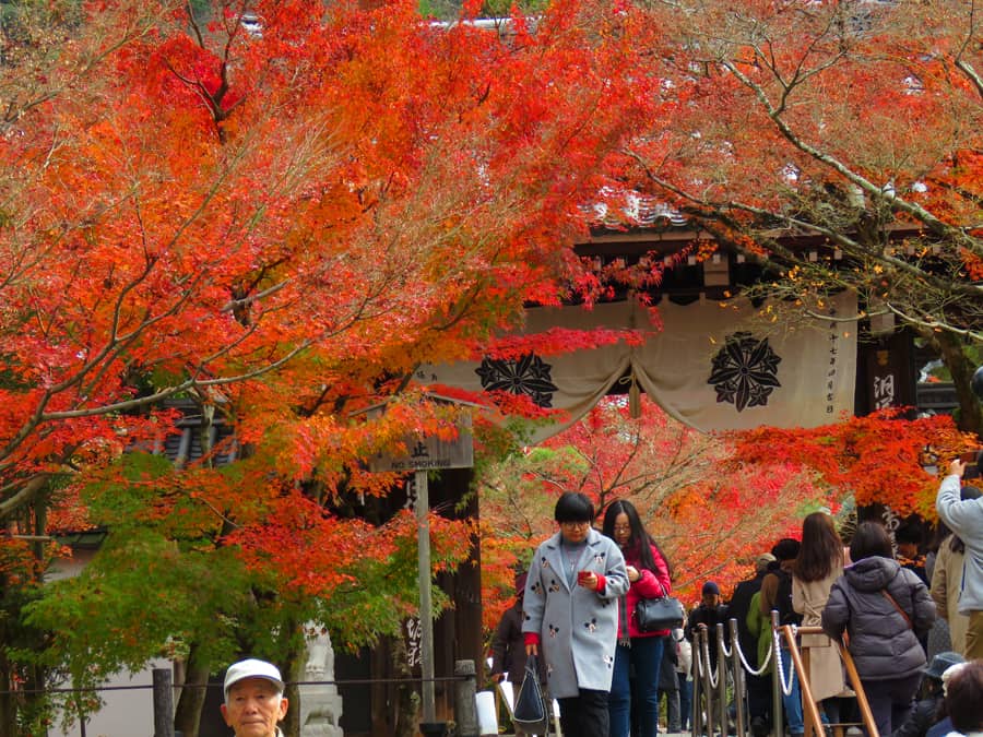 Eikan-dō Zenrin-ji crowds. Kyoto