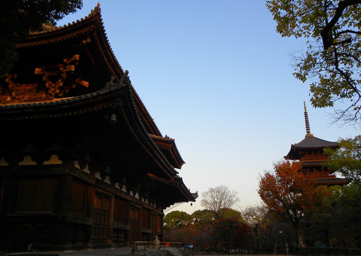 Toji Temple. The Best things to Do and See in Kyoto