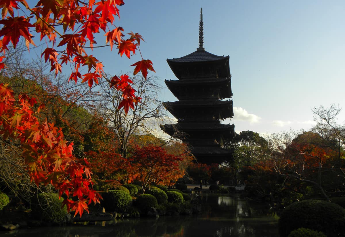 Toji Temple. The Best things to Do and See in Kyoto