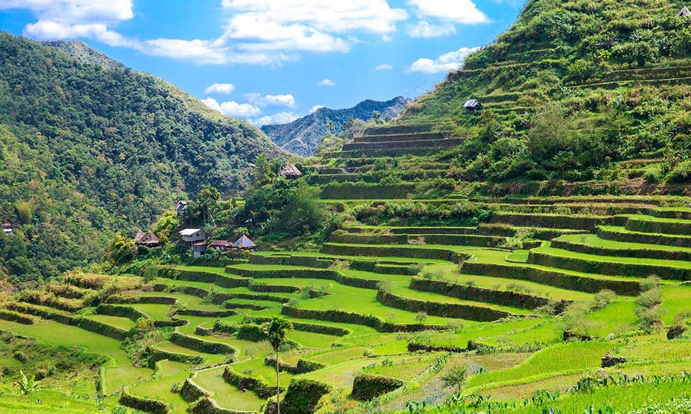 banaue rice terraces in the philippines