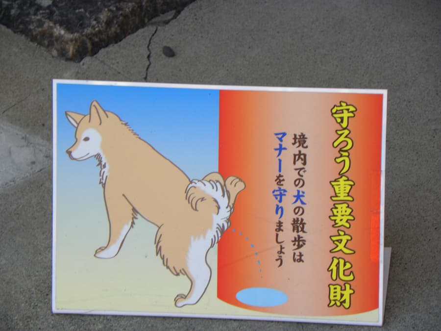 no dog pee here sign Japan