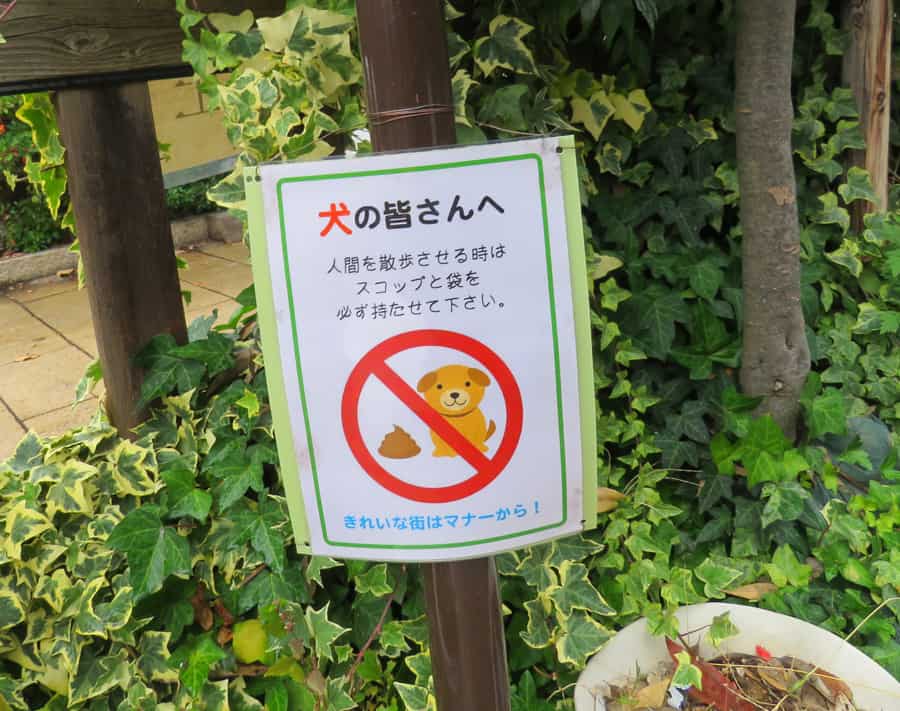 no dog poo japan sign