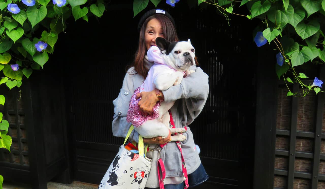 The Friendly Faces of Japan (and some pets)