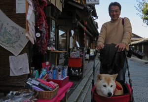 The Friendly Faces of Japan (and some pets)