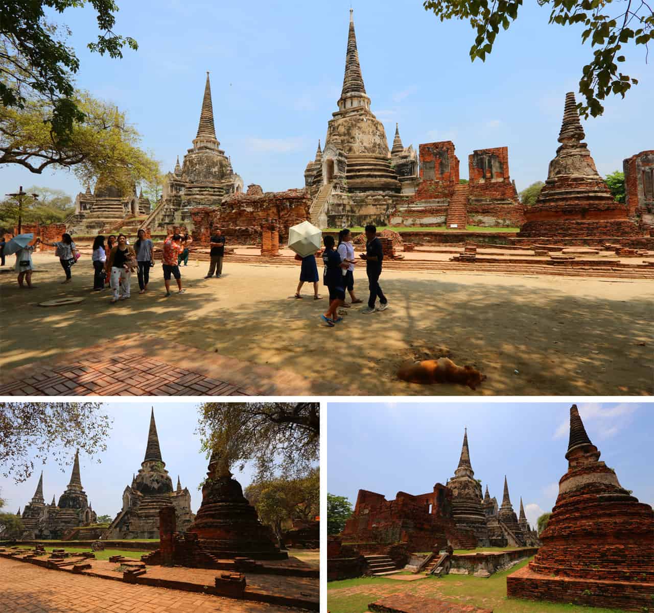 Wat Phra Sri Sanphet, the best of Ayutthaya in a Day