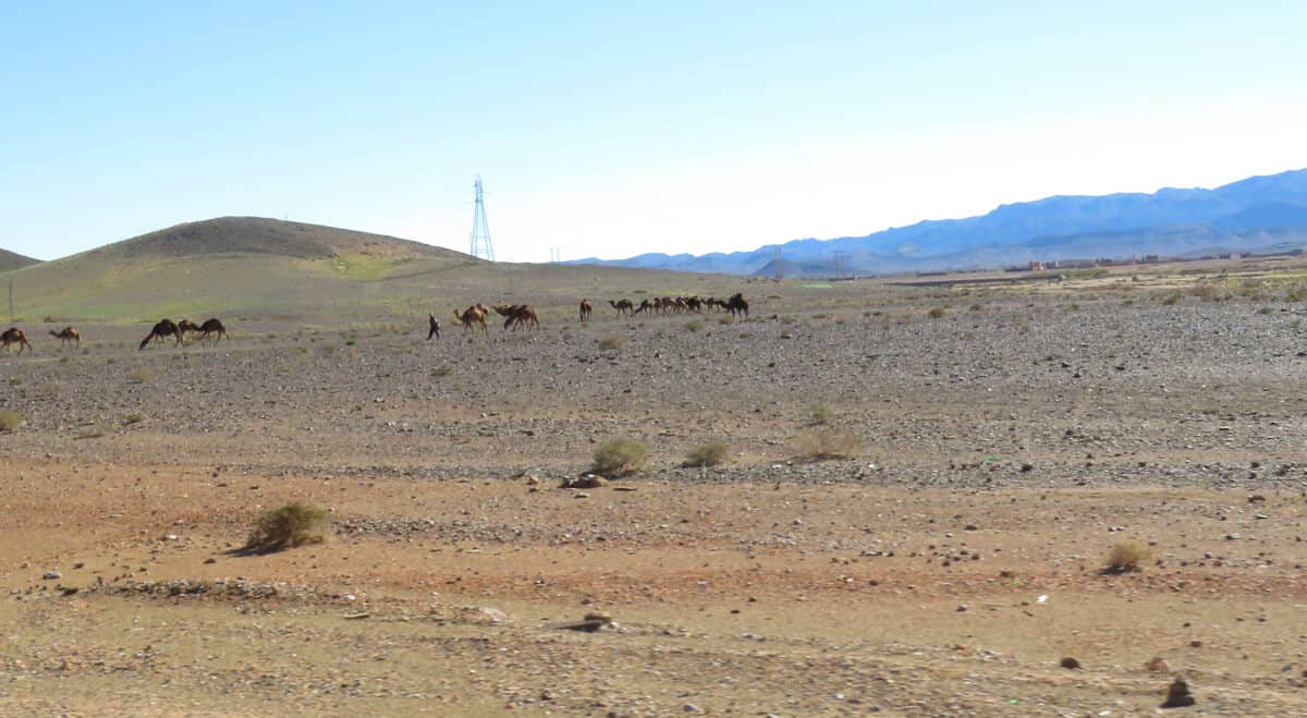 views along the way to Merzouga