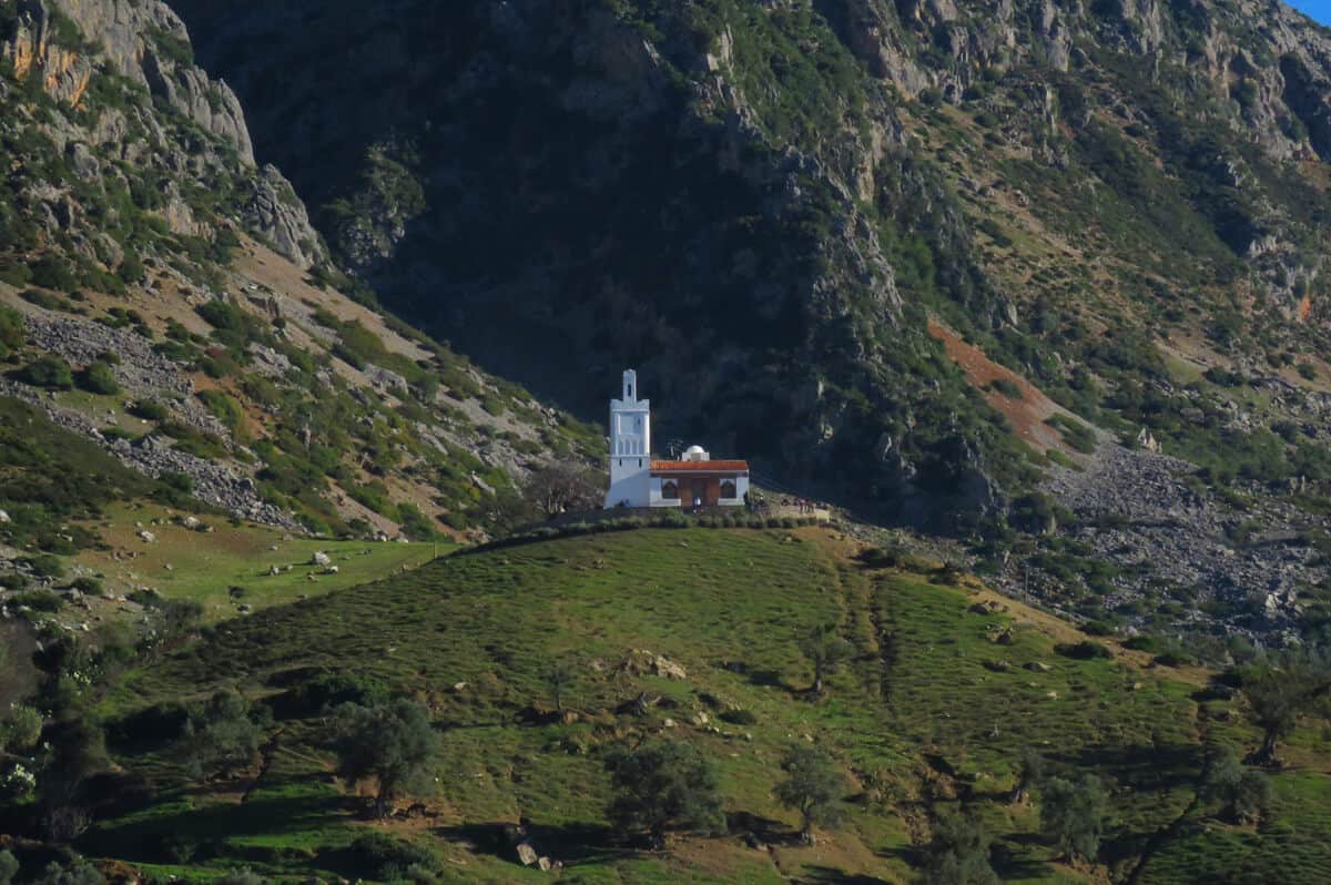 Highlights and bedbugs in Chefchaouen