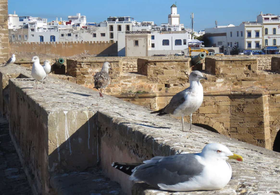 the coastal town of Essaouira, Morocco