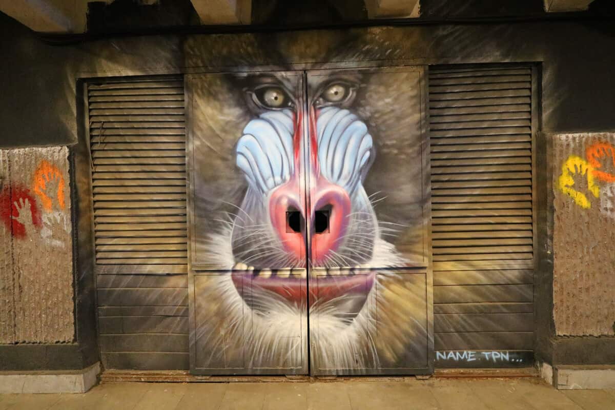 Mural in Tbilisi tunnel