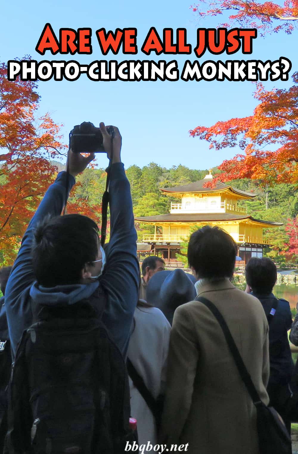 Are we all just photo-clicking monkeys? Are we all just photo-clicking monkeys?