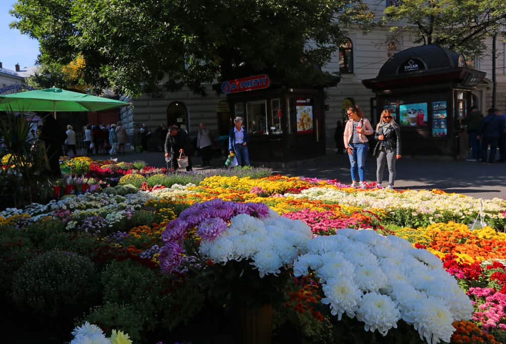 Flowers at the market, Lviv