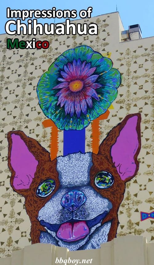 Chihuahua – a place not to avoid Chihuahua – a place not to avoid