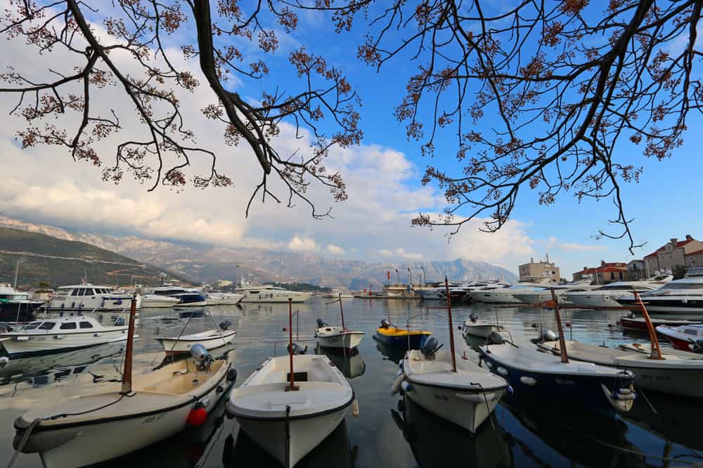 Marina in Budva