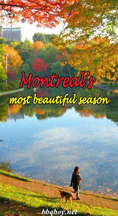 Montreal in the Autumn Montreal in the Autumn