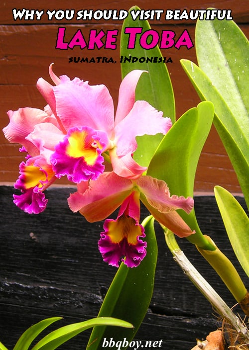 Why you should visit beautiful Lake Toba, Sumatra Why you should visit beautiful Lake Toba, Sumatra