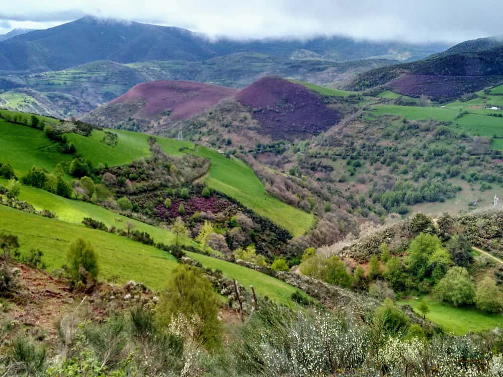 Camino Francis. Travel Bloggers on their favorite hikes around the world