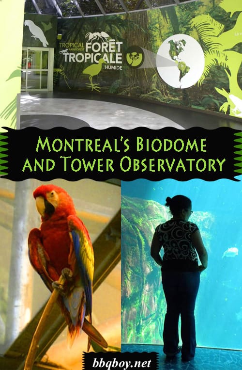 Visiting Montreal’s Biodome and Tower Observatory Visiting Montreal’s Biodome and Tower Observatory