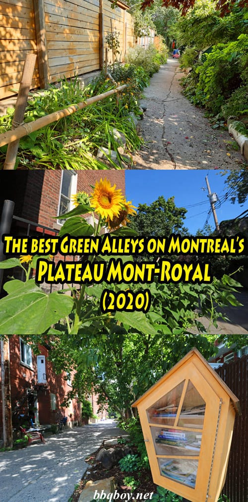 The best Green Alleys on the Plateau Mont-Royal (2020) The best Green Alleys on the Plateau Mont-Royal (2020)