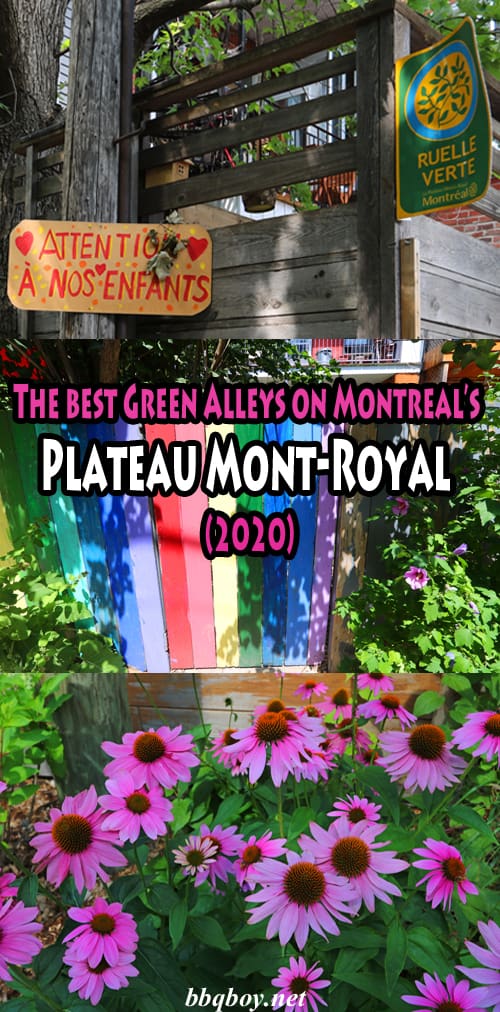 The best Green Alleys on the Plateau Mont-Royal (2020) The best Green Alleys on the Plateau Mont-Royal (2020)