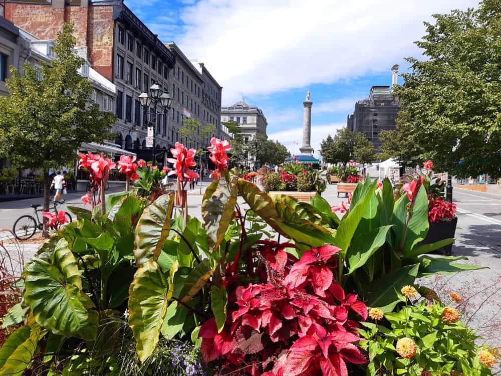 Place Jacques-Cartier during Covid