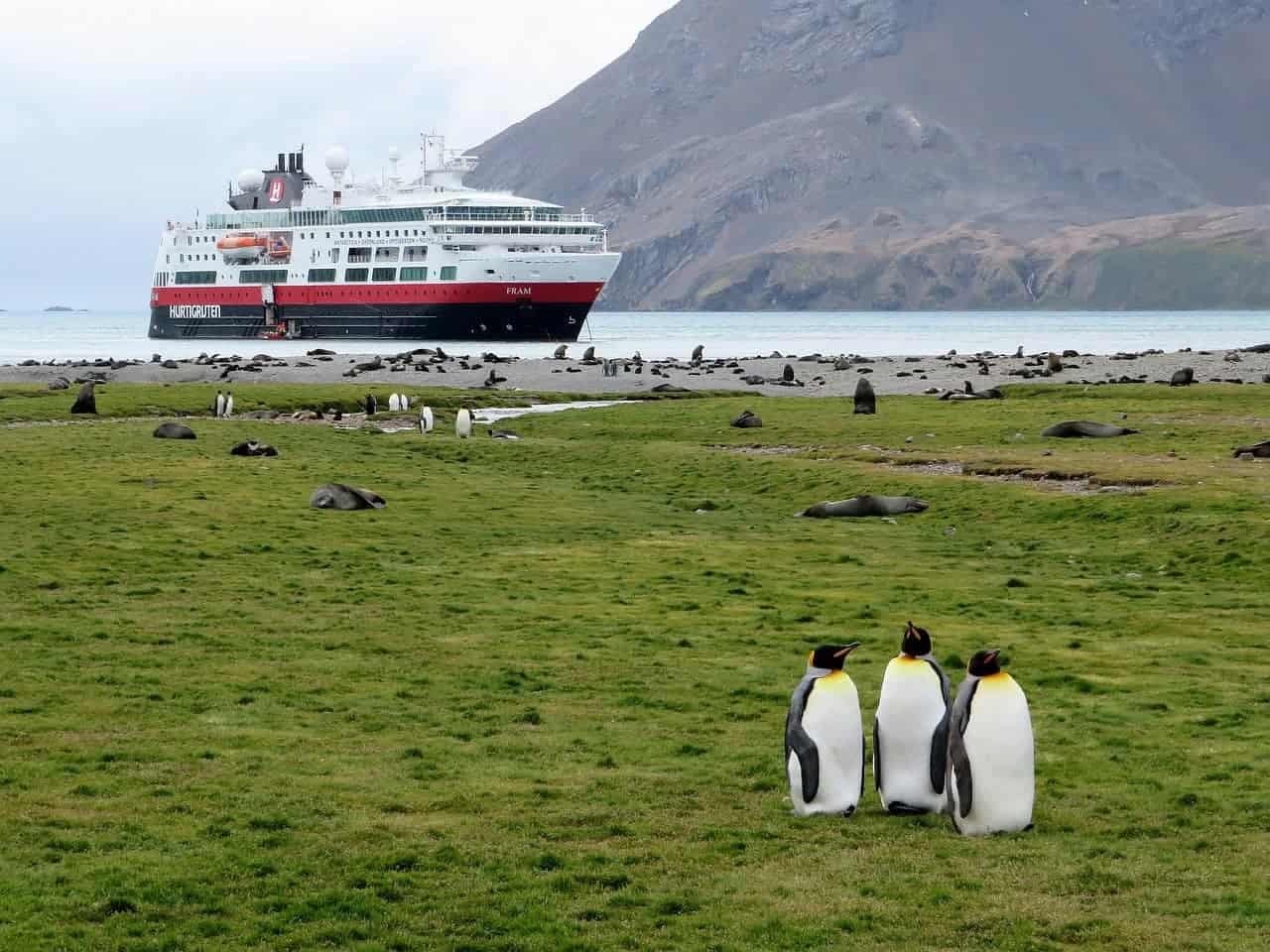 10 Unbeatable Wildlife Cruise Holidays for Nature Lovers