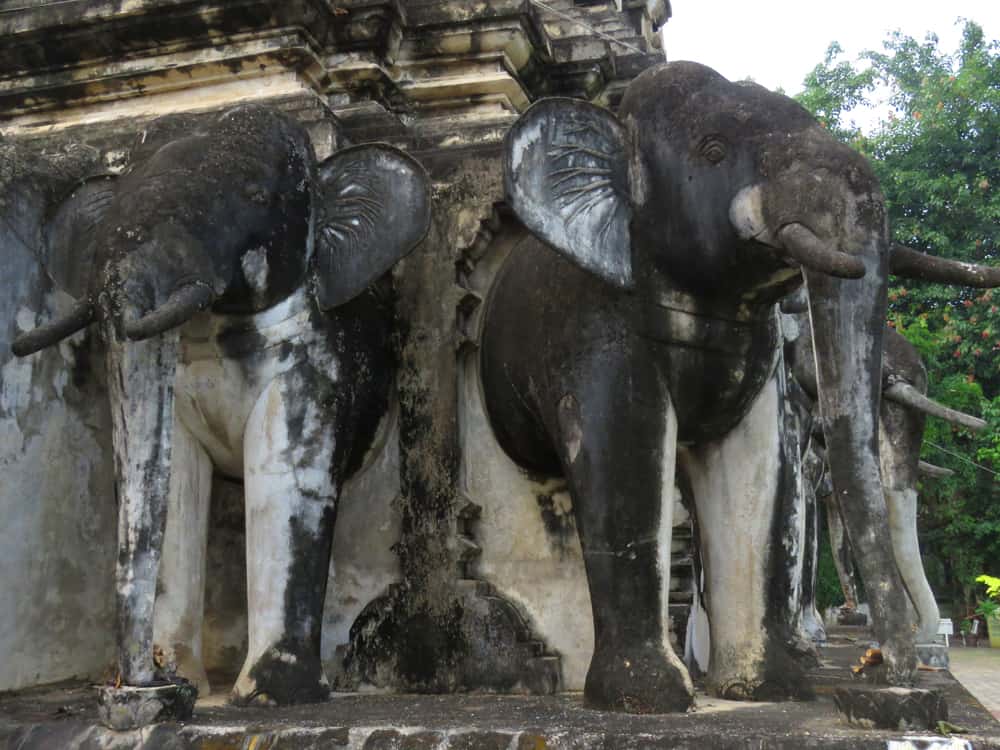 Elephant chedi, Chiang Mai