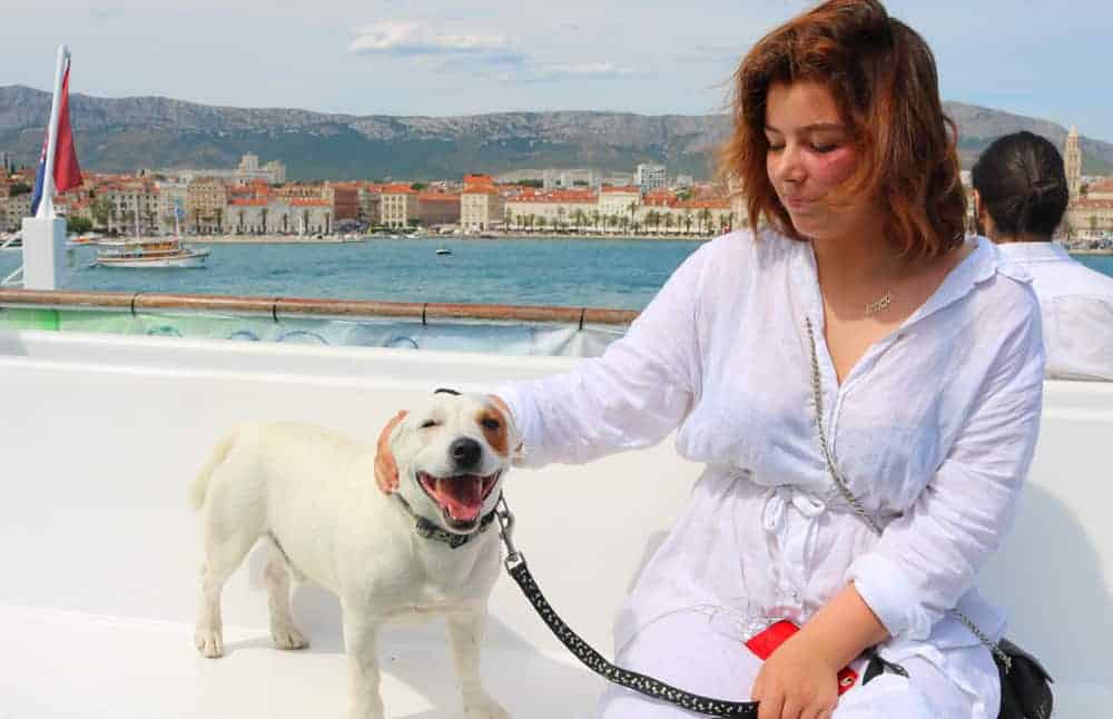 Dogs we’ve met on our travels…and the most dog-loving countries! 