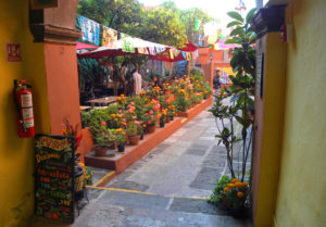 the best cafes of San Miguel de Allende
