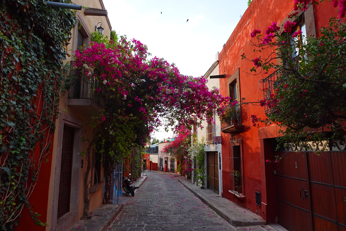 Tour of San Miguel de Allende