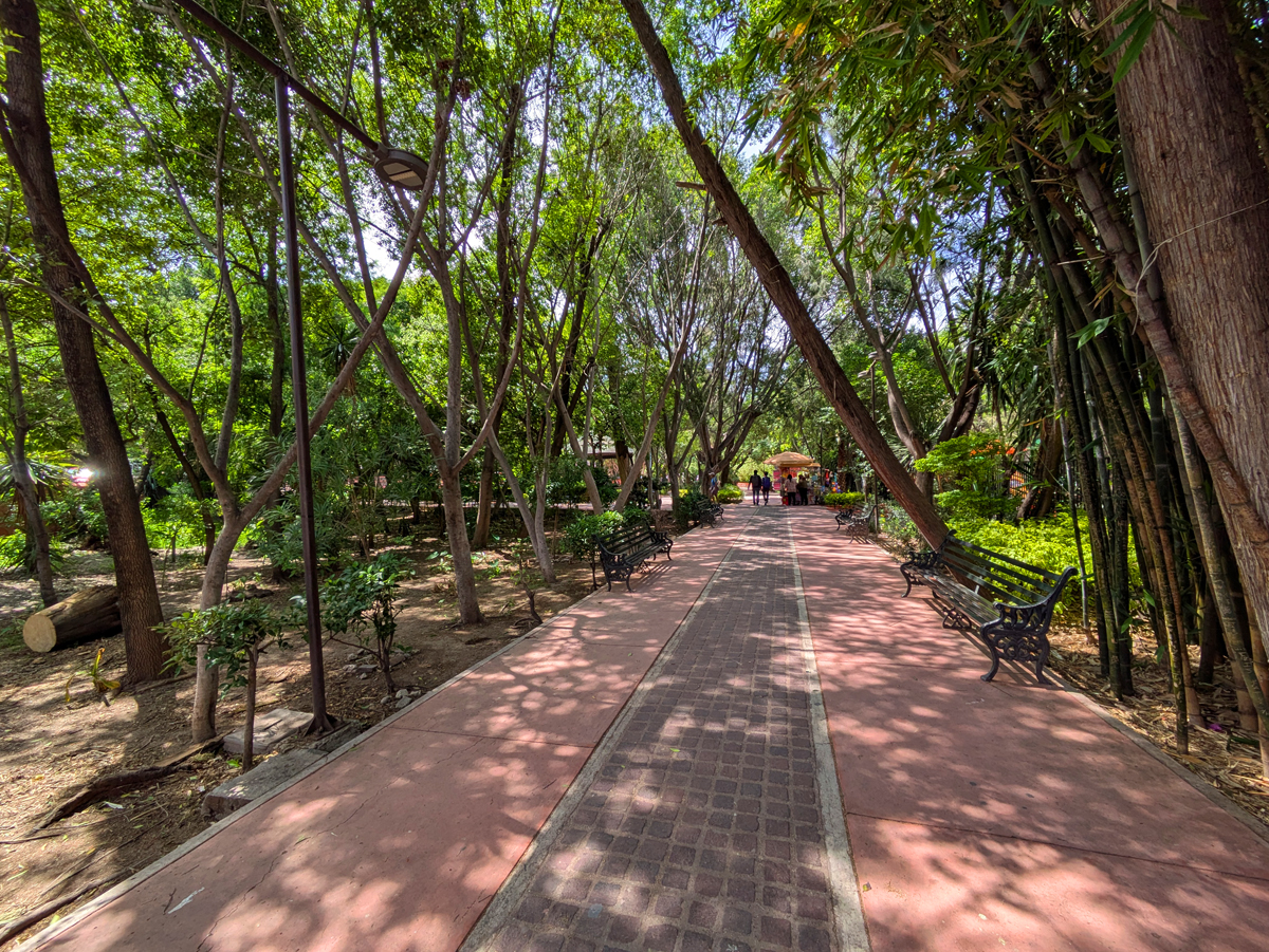 Photo tour of San Miguel de allende