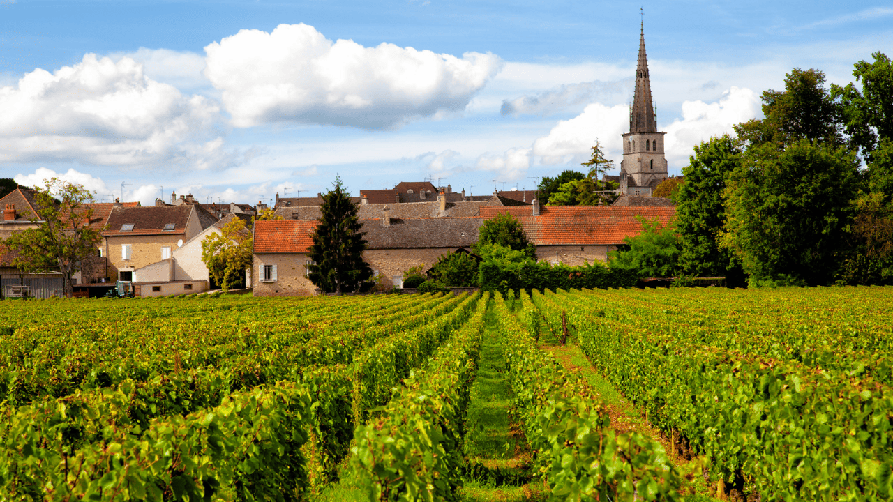 The 5 Best Wine Regions in Europe 