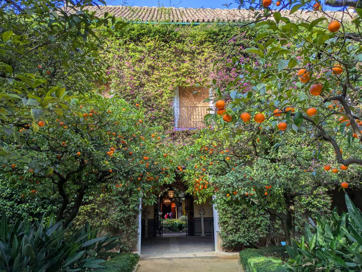 what to see in seville