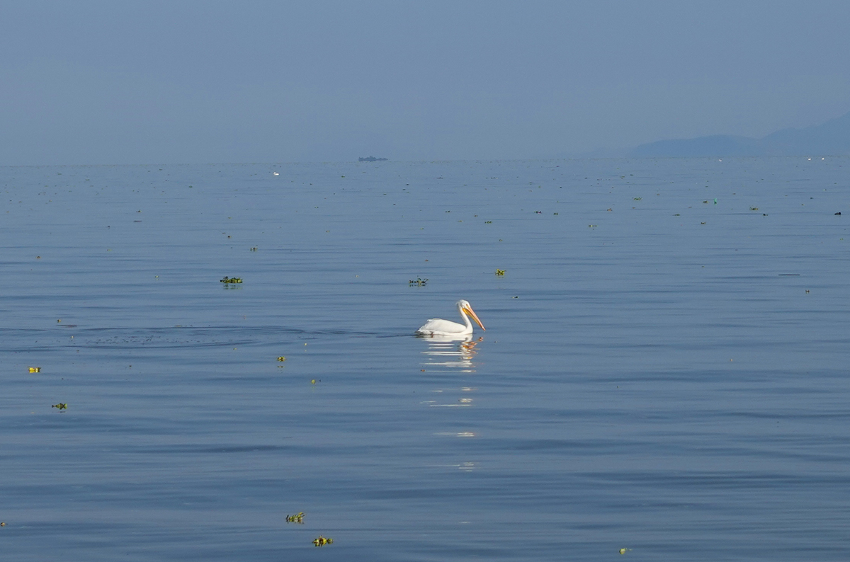 Lake Chapala tour