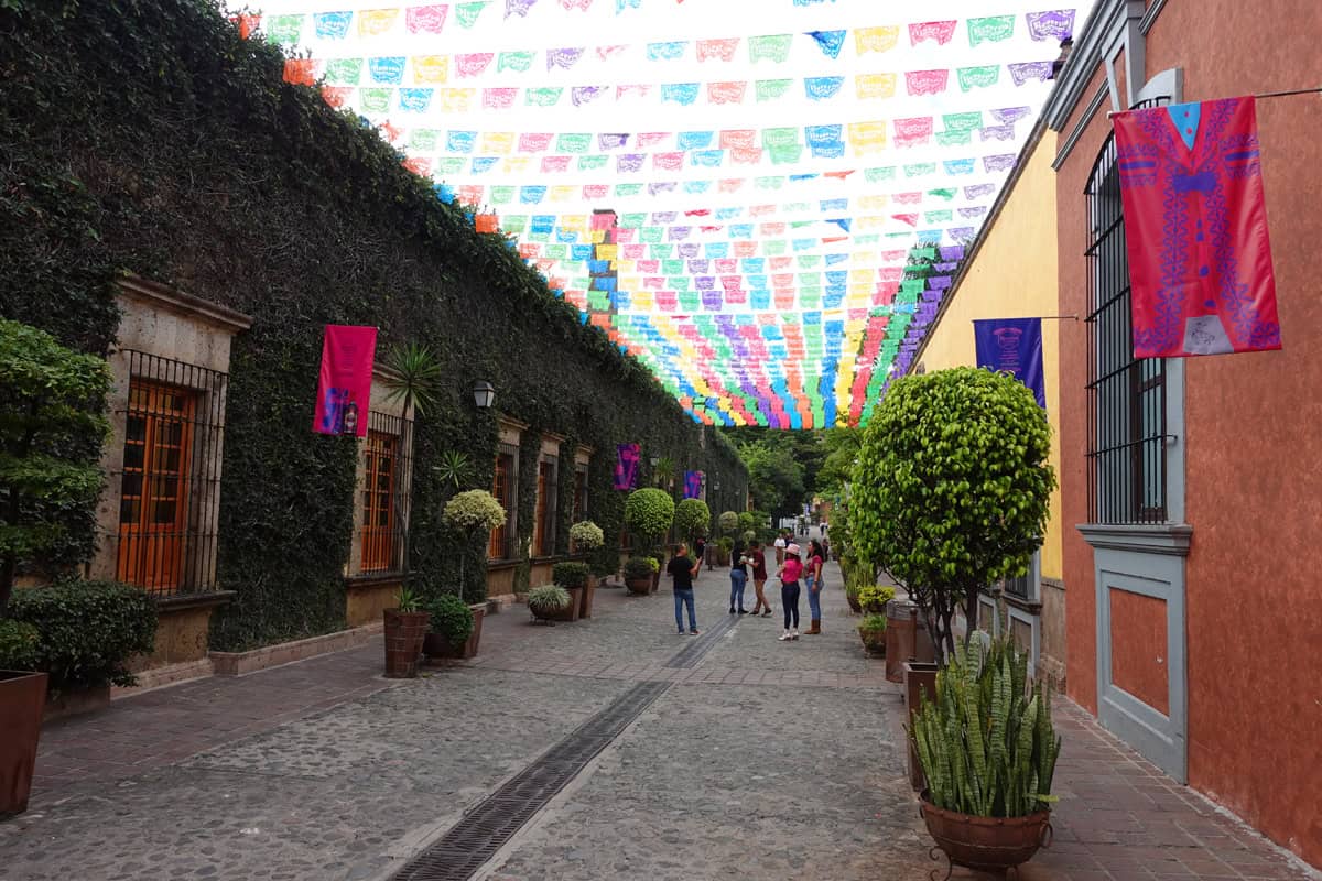 Tequila tour from Guadalajara