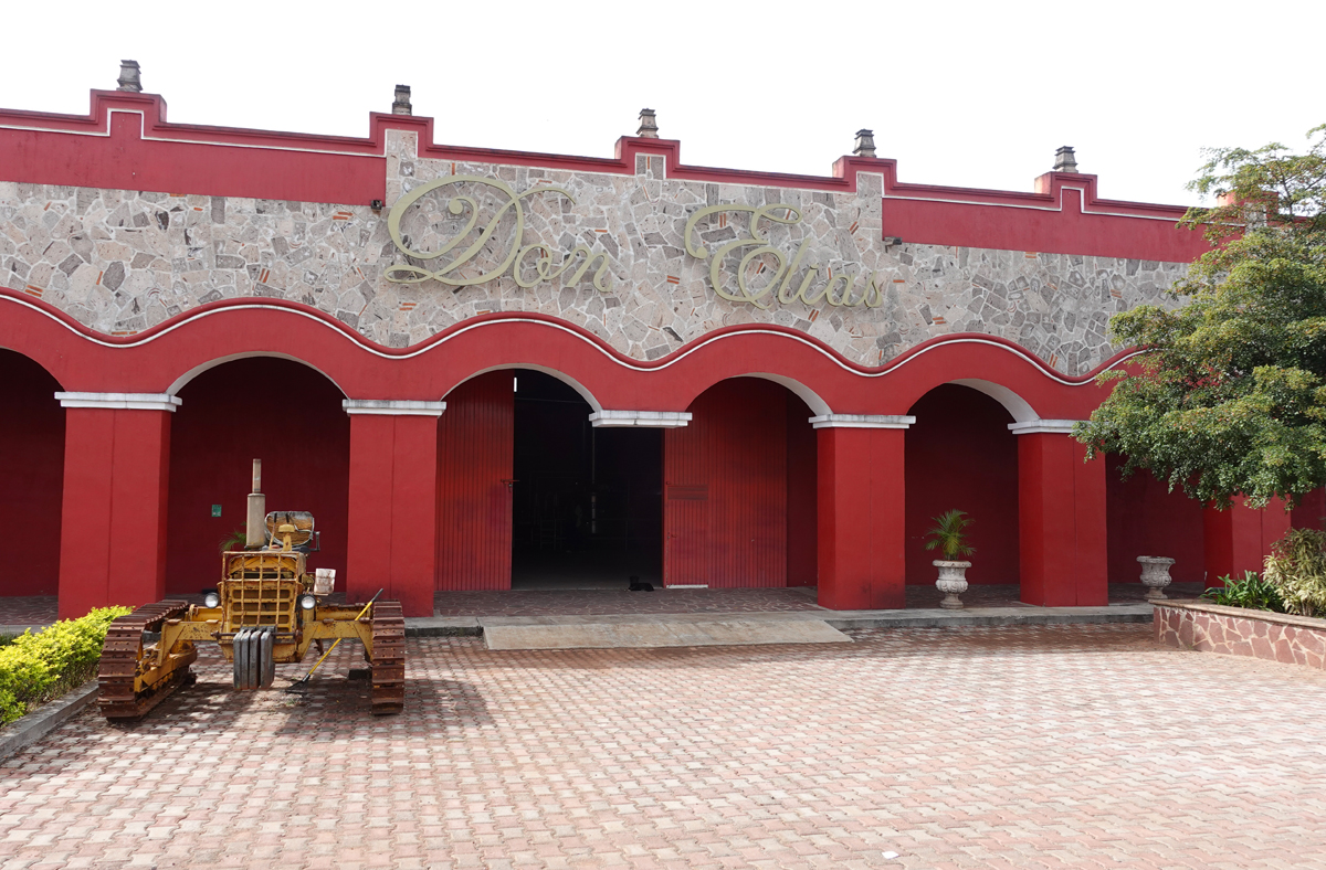 Tequila tour from Guadalajara