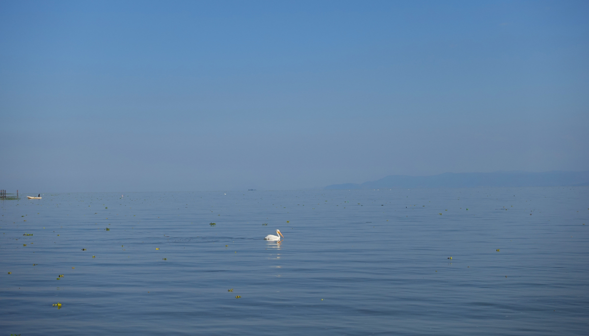 Lake Chapala scenery