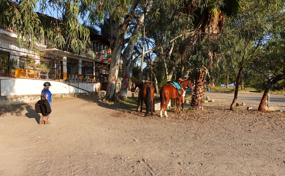 Expat Life in Ajijic