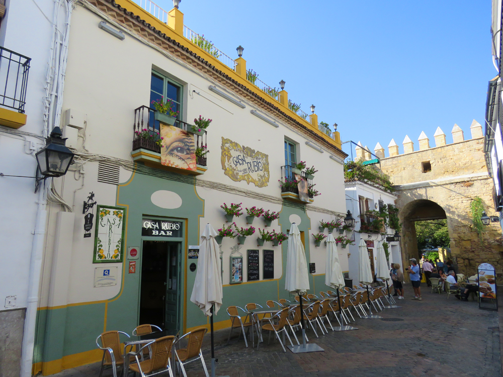 the Alcázar 
