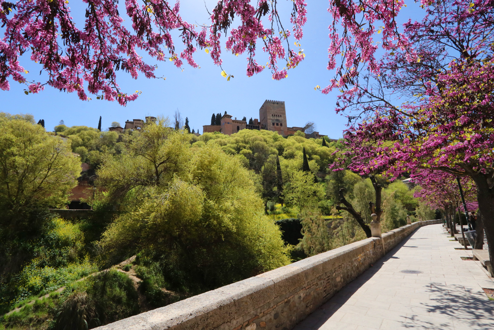 The best of Andalusia
