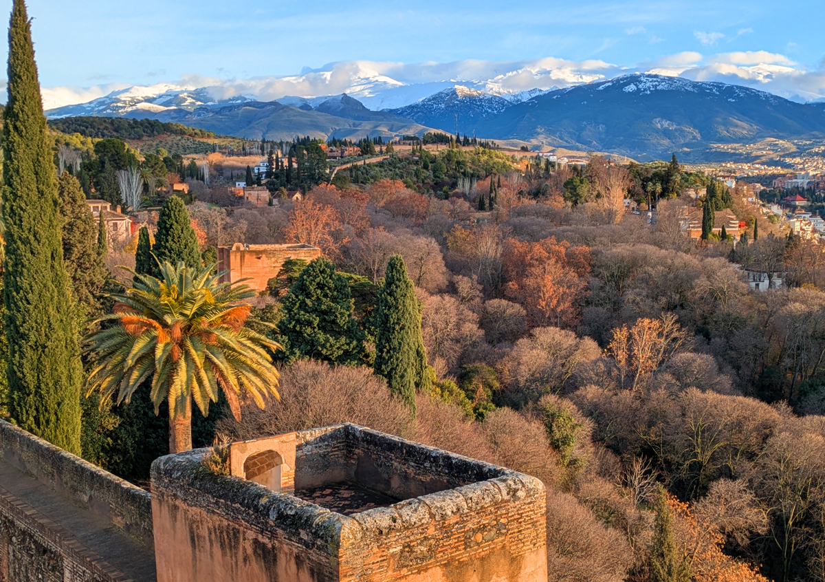 Looking back at 2025…and forward to 2026