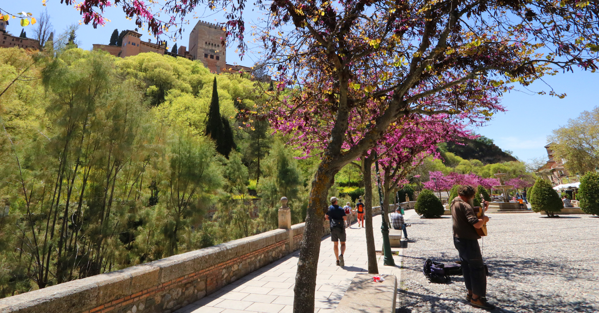 The 20 Best Things to See and Do in Granada (Spain)