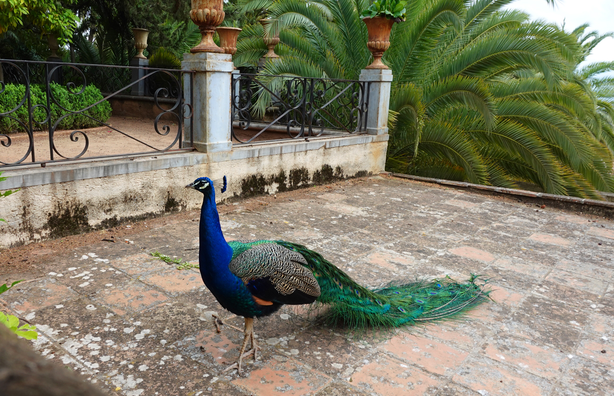 The 20 Best Things to See and Do in Granada (Spain)