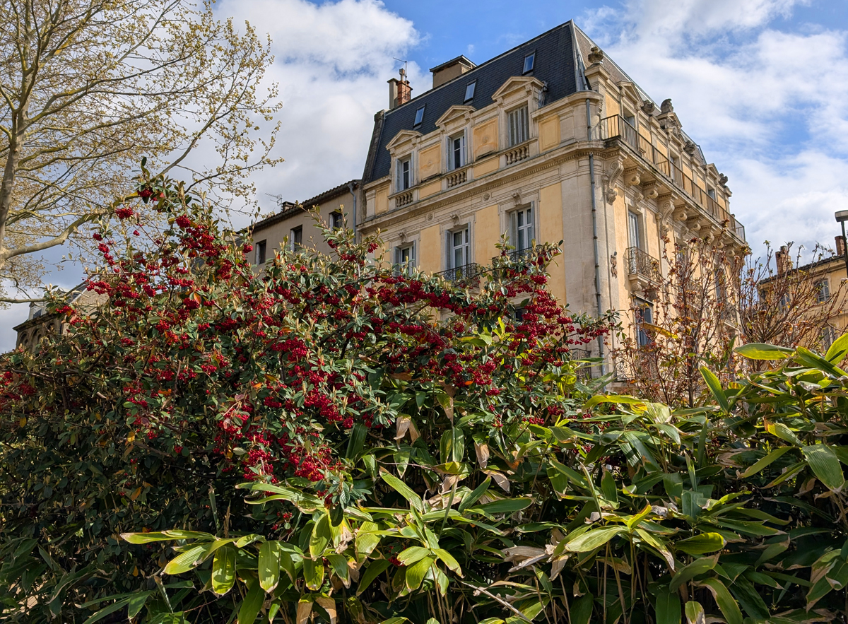 Guide to Carcassonne