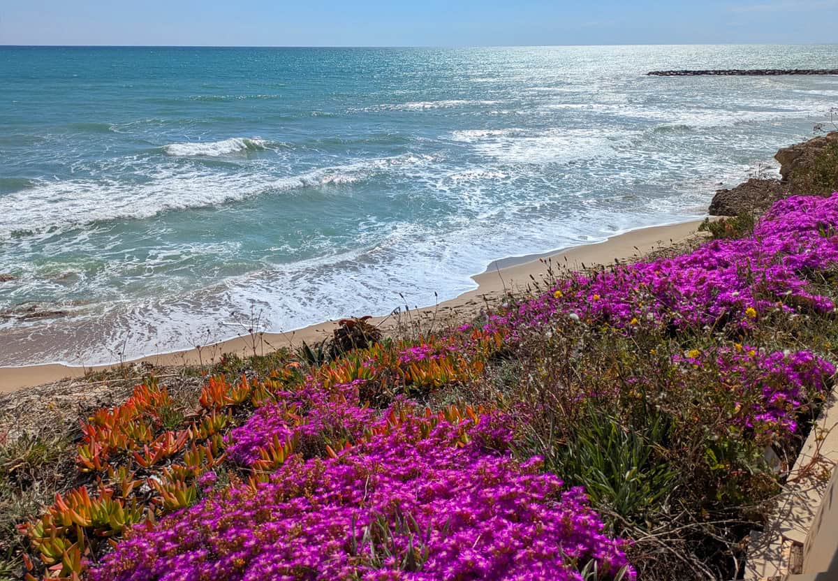 A month of travel in Spain